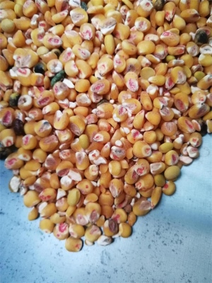 去麻豆成人免费视频藥種子包衣外皮去皮機